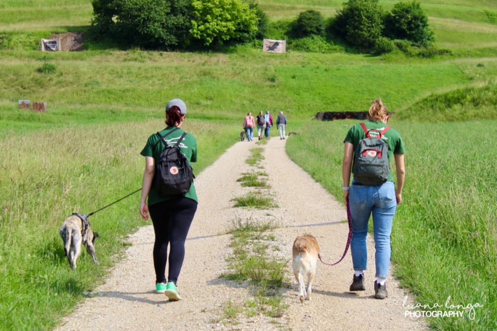 Pfingstwanderung 2025: Fotoalbum