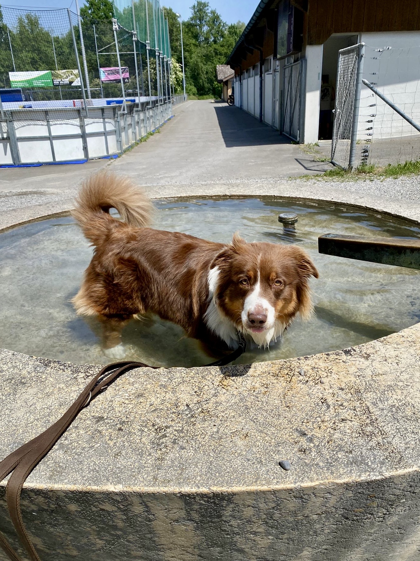 Pfingstmontags-Wanderung 2026🥾🐕